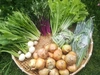 自然農法、自然栽培で育てた季節の野菜2倍量セット