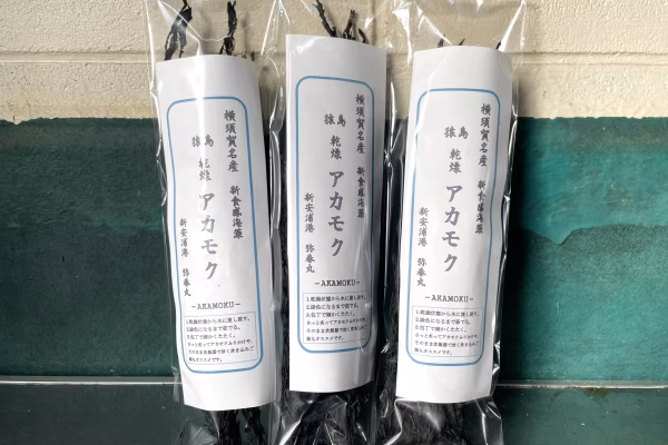 新感覚海藻！　横須賀産　猿島乾燥あかもく　2021ver.