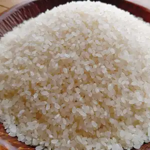 鳥取県 源流の町で育てた【コシヒカリ】自然栽培白米２㎏