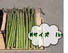 春芽アスパラガス　Mサイズ1kg
