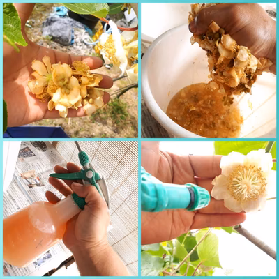 みんなの投稿の画像