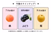 ポケマルがお届け！「お試し 王道フルーツ定期便」