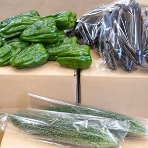 朝採り夏野菜3点セット！ゴーヤ、ピーマン、小ナス詰め合わせ