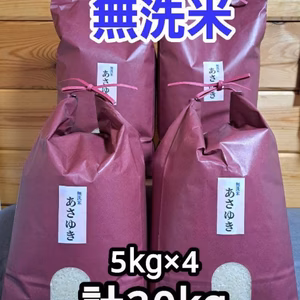 送料無料‼️令和5年青森県産無洗米あさゆき5kg×4