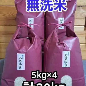 送料無料‼️令和5年青森県産無洗米あさゆき5kg×4