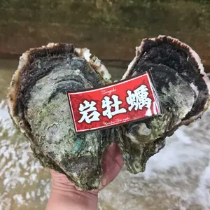 【数量限定】☆モンスター☆からふさ岩牡蠣