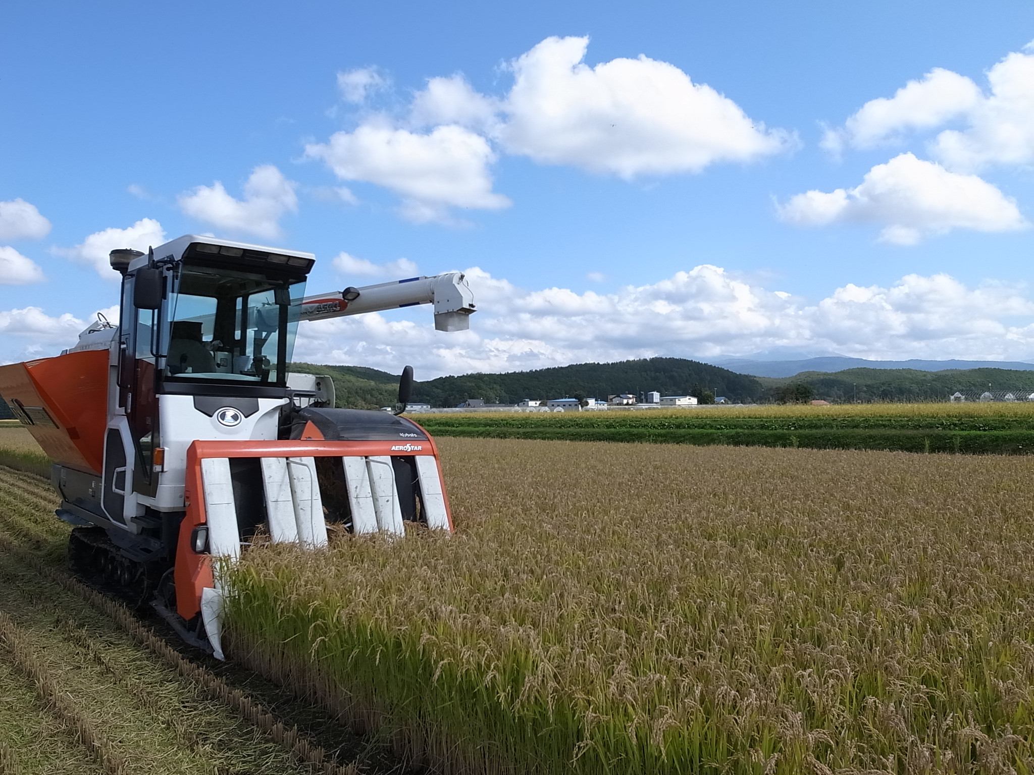 北海道上川郡東川町｜さたけ農園｜佐竹国広さんの生産者プロフィール