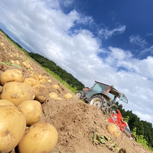 ワケありジャガイモ！！