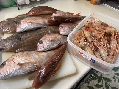 みんなの投稿の画像