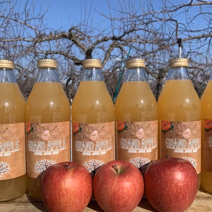 青森県産サンふじ100%無添加ジュース1リットル6本