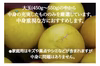 やの一果彩の園主こだわり土佐文旦【家庭用10kg】(大玉17玉～24玉）訳あり 