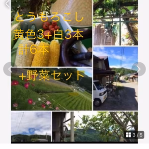 とうもろこし2L黄色3.白3➕野菜セット（なす、トマト、きゅうり、ゴーヤなど）