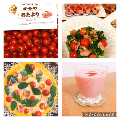 みんなの投稿の画像