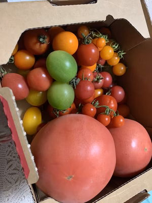 みんなの投稿の画像