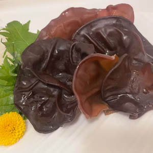 【国産】肉厚！プリプリ！コリコリ食感！　生キクラゲ