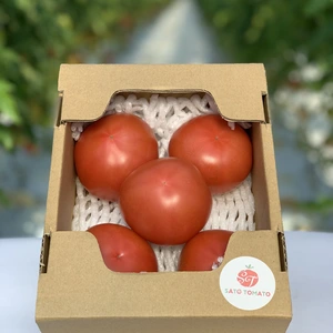 【新鮮】【収穫当日出荷】大玉トマト　１kg箱詰め