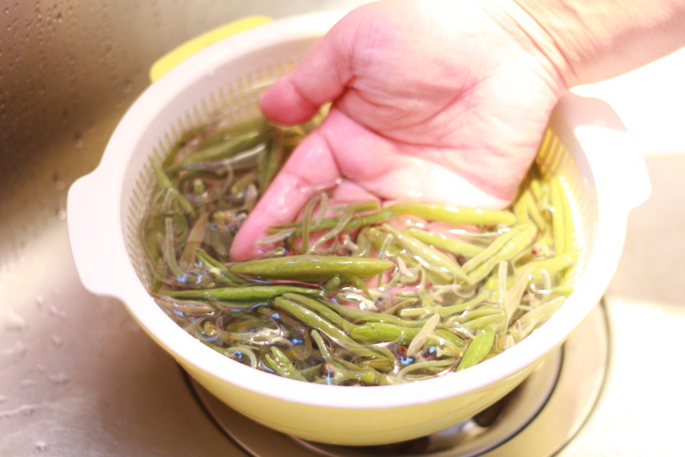 食べる を遊ぶ 秋田発 流しじゅんさい に自宅で挑戦 農家漁師から産地直送の通販 ポケットマルシェ