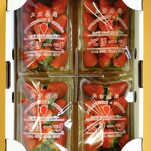 大分県産いちご（ベリーツ）