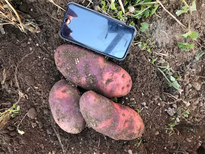 みんなの投稿の画像