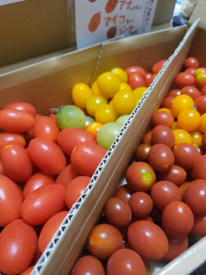 みんなの投稿の画像