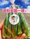 【終了】〈沖縄県産〉4㎏ シャキッ！とさわやかな食感の後にとろける丸オクラ
