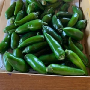 残りわずか　熊本県八代産農薬不使用　青ハラペーニョ   オマケに柚子3個つけます