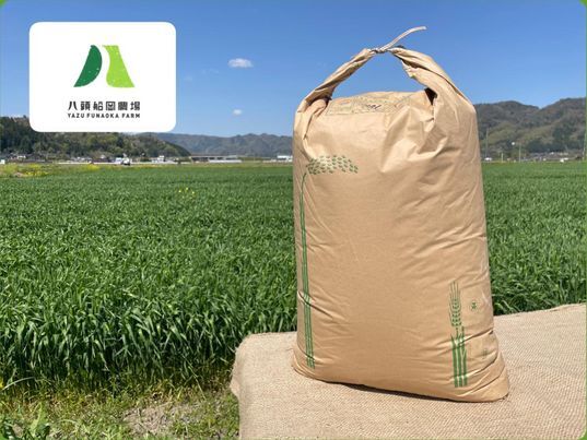 小麦 鳥取県八頭町産小麦/農林61号/30KG（未製粉）｜その他の米・雑穀