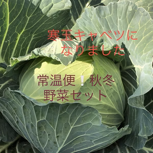 常温便❕季節の野菜（秋冬バージョン）セット