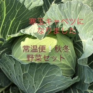 常温便❕季節の野菜（秋冬バージョン）セット