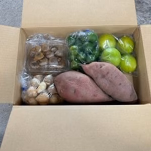 希少国産ライムと野菜セット‼️