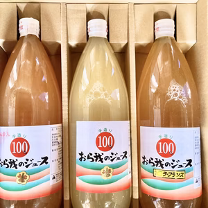 搾りたて100%サンふじりんごラ•フランスジュース3本入飲み比セット❗️ふじ