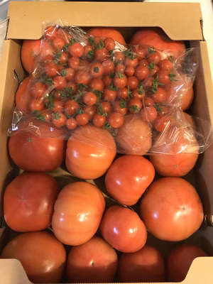 みんなの投稿の画像