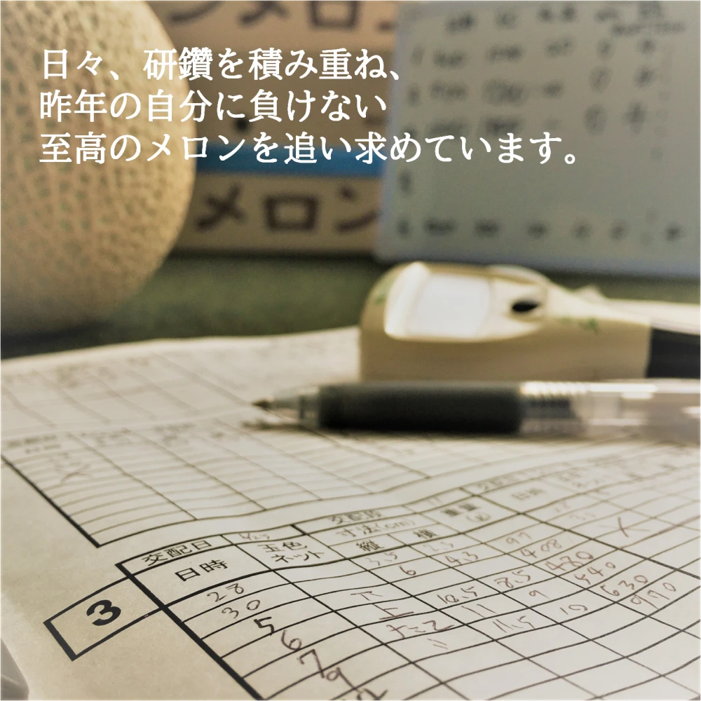 肥料屋さんが作った”あま～い”メロン　11月24日発送/贈答用/数量限定