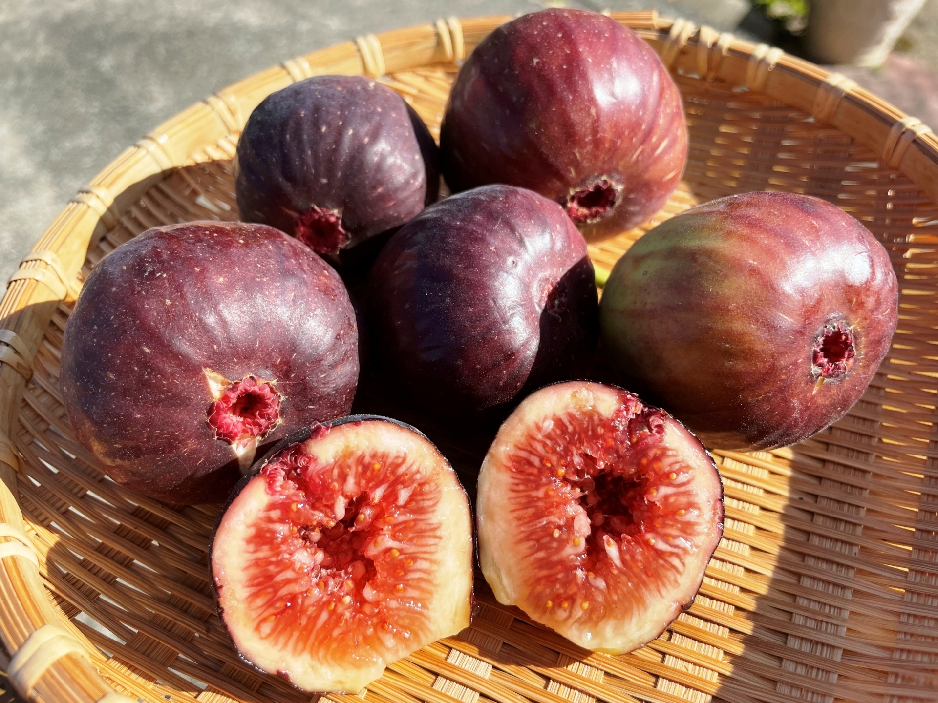 2.5kg 無農薬 大阪 いちじく 無花果 イチジク 甘い 人気 羽曳野