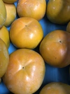 太秋柿（たいしゅうかき）6玉詰め！ふくおかエコ農産物認証