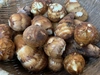 【里芋】自然栽培のトロッとおいしい土垂