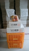 完熟　新水梨　2.5キロ箱（4～7玉入）