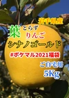  【#ポケマル2021福袋】葉とらずりんご シナノゴールド 5kg