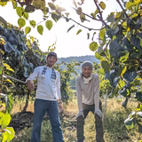 深井 稔 | 深山のキウイ