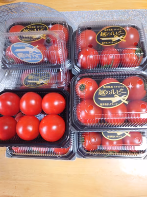 みんなの投稿の画像