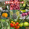【定期便】悪魔の実®︎セット（フルーツセット）｜沖縄県産