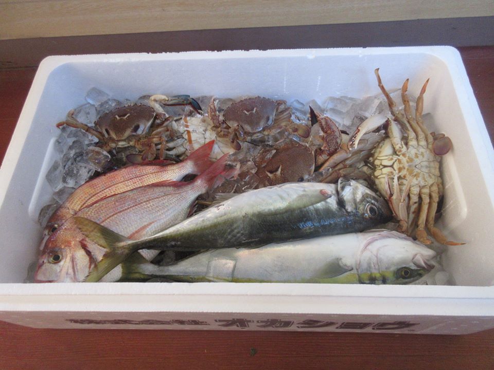 15326541_1141236385984140_8769238010063014302_n