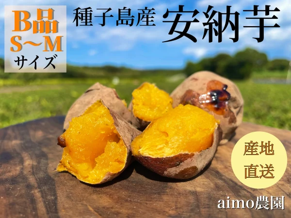 絶品】aimo農園｜種子島産 安納芋 B品(S~Mサイズ)｜野菜の商品詳細