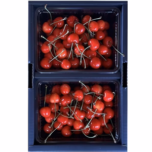 山形産　さくらんぼ　佐藤錦　家庭用　ﾊﾞﾗﾊﾟｯｸ詰 350g×2ﾊﾟｯｸ