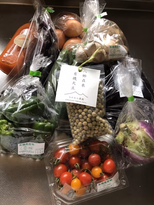 みんなの投稿の画像