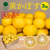 【市場にはあまり出回らない】大分県宇佐市産　黄かぼす（約2kg 14～20個）