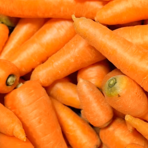 【訳アリお願い企画】 無農薬・無化学肥料 固定種にんじん新黒田五寸＆筑摩野五寸