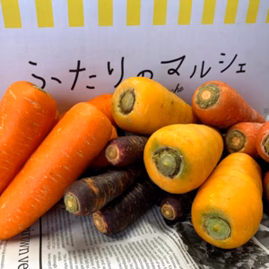 色とりどり！甘さ際立つ雪下にんじん食べ比べセット（計3.5㎏）