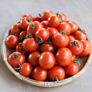 ミニトマトBOX 【お徳用】
