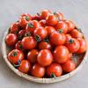 ミニトマトBOX 【お徳用】